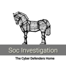 www.socinvestigation.com