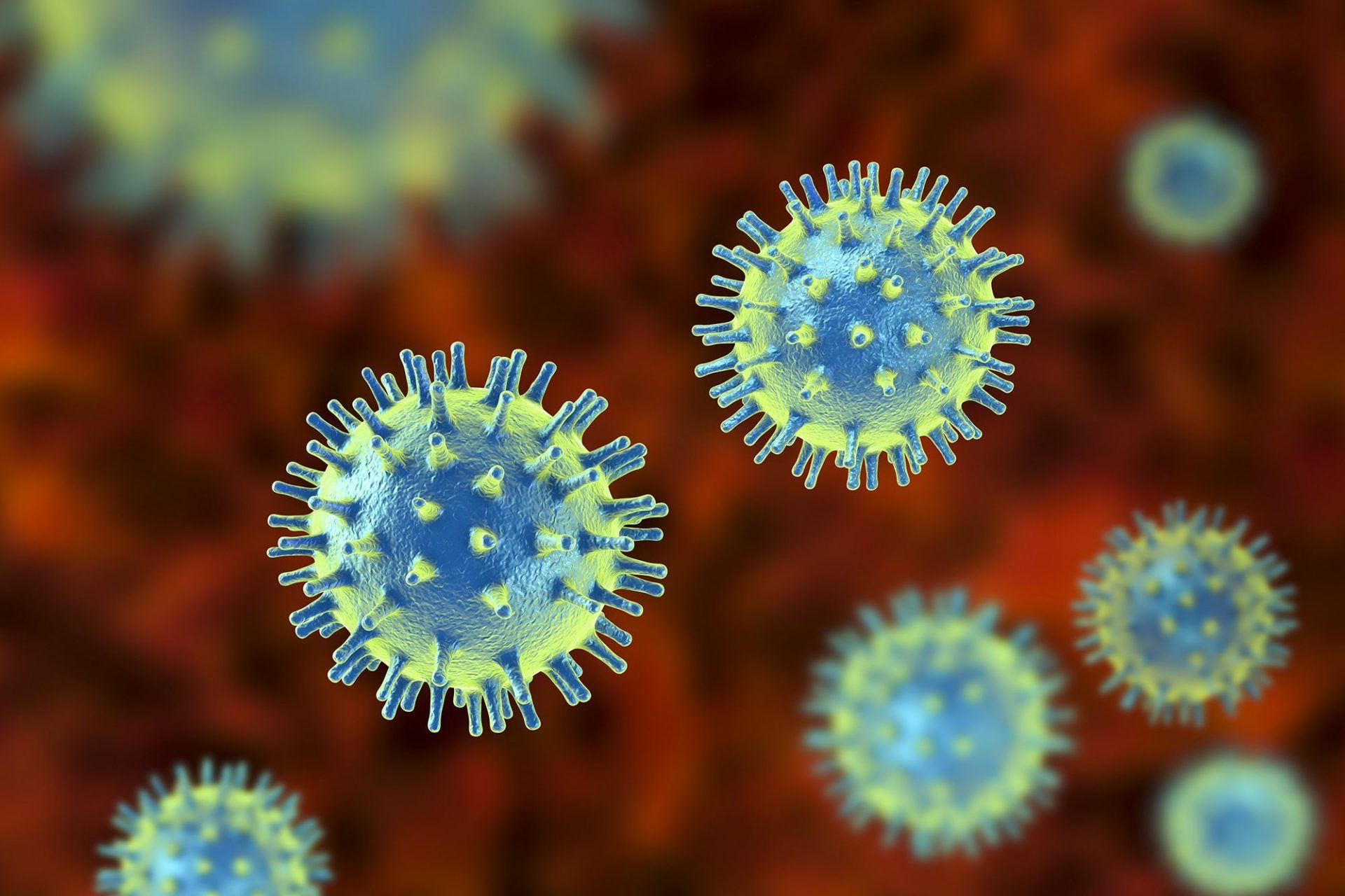 Computer Viruses How To Protect And Determine The Virus Security 