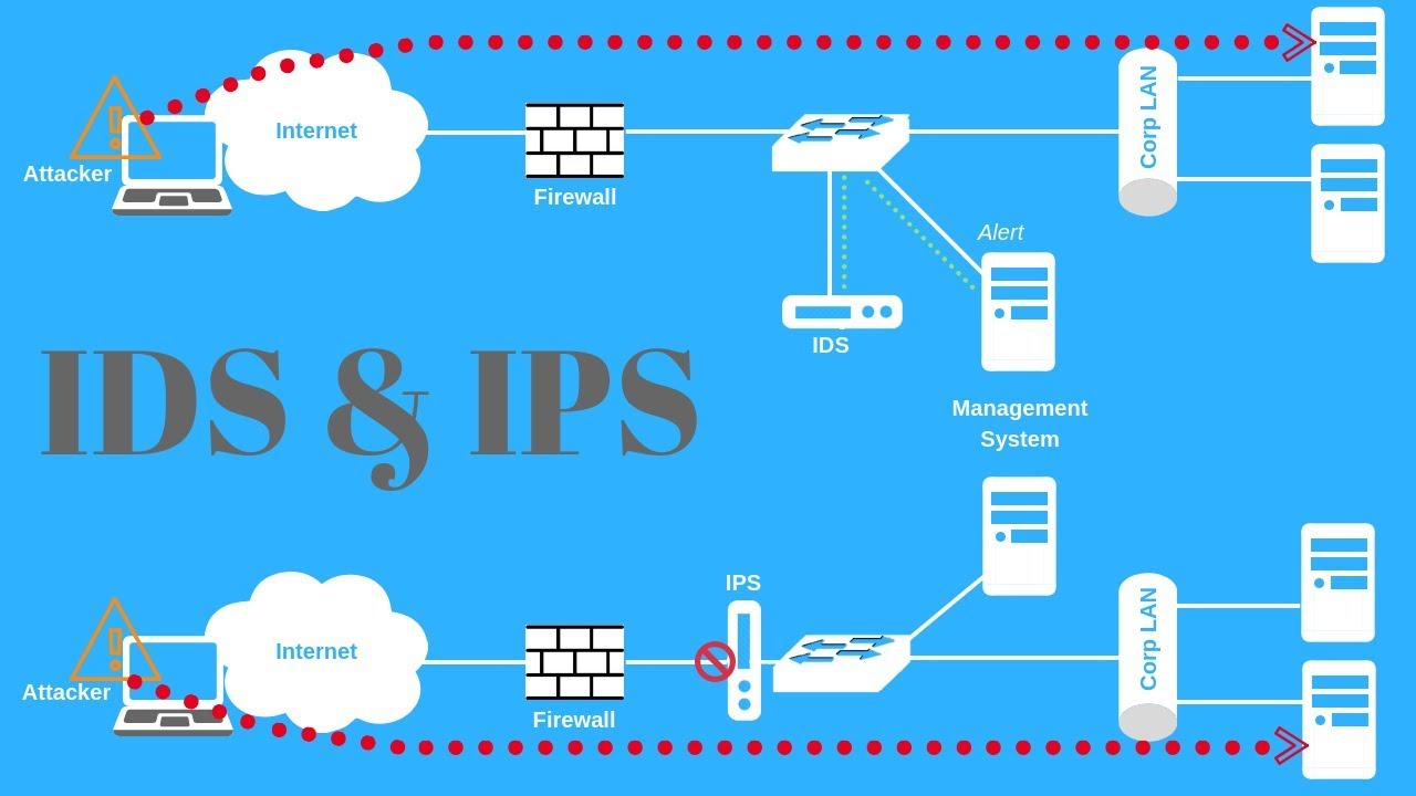 Difference Between Ids And Ips