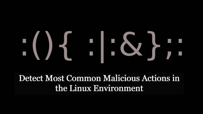 Detect Most Common Malicious Actions in the Linux Environment