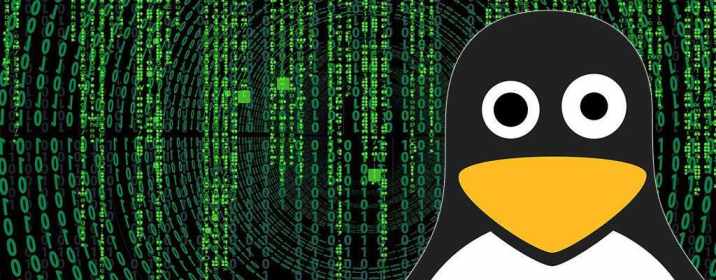 Symbiote malware infects all running processes on Linux systems