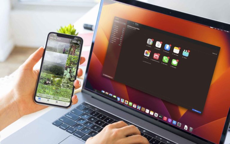 How to Organize Photos and Albums On an iPhone I 6 Tips