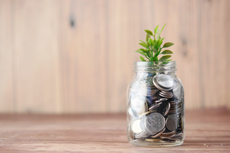 What Are Blue Chip Stocks: Things You Should Know