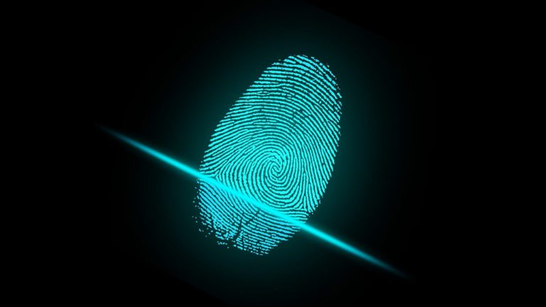 The Evolution of Criminal Investigations in the Digital Age